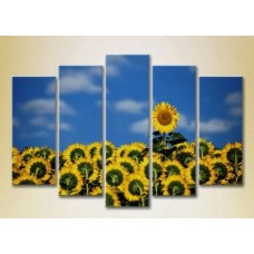 Картина Rainbow Polyptych Sunflower Field 05 (2932859)