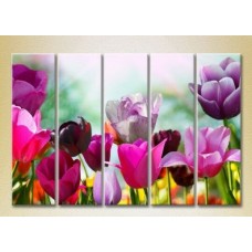 Картина Rainbow Polyptych Field of colorful tulips 03 (2932860)