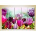 Картина Rainbow Polyptych Field of colorful tulips 03 (2932860)