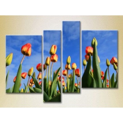 Pictură Rainbow Polyptych Field of tulips (2932338)