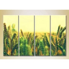 Pictură Rainbow Polyptych Wheat Field (2932340)