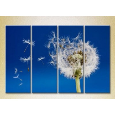 Картина Rainbow Polyptych Flying Dandelion (2932342)