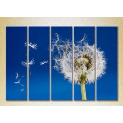 Картина Rainbow Polyptych Flying Dandelion 02 (2932864)