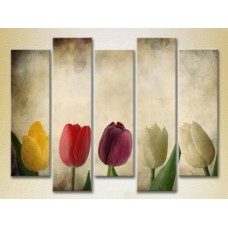 Картина Rainbow Polyptych Multicolored tulips 01 (2932866)