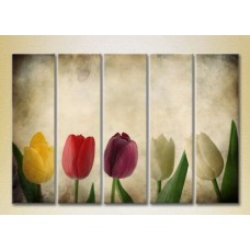 Картина Rainbow Polyptych Multicolored tulips 03 (2932867)