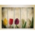 Картина Rainbow Polyptych Multicolored tulips 03 (2932867)