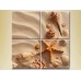 Картина Rainbow Polyptych Seashells in the Sand 01 (2223417)