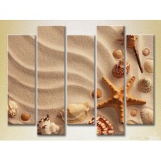 Картина Rainbow Polyptych Seashells in the Sand 02 (2224785)