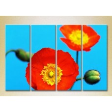 Картина Rainbow Polyptych Blooming Poppy (2932343)