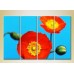 Картина Rainbow Polyptych Blooming Poppy (2932343)