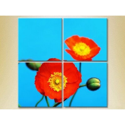 Картина Rainbow Polyptych Blooming Poppy 01 (2932365)