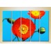 Картина Rainbow Polyptych Blooming Poppy 02 (2932904)