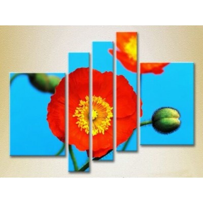 Картина Rainbow Polyptych Blooming Poppy 03 (2932869)