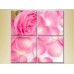 Картина Rainbow Polyptych Pink Rose and Petals (2932347)