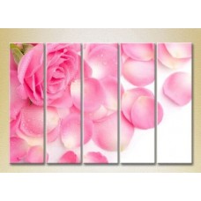 Картина Rainbow Polyptych Pink Rose and Petals 02 (2932873)