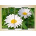 Картина Rainbow Polyptych Chamomile 02 (2932879)