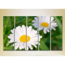 Картина Rainbow Polyptych Chamomile 03 (2932880)