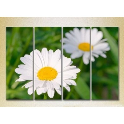 Pictură Rainbow Polyptych Chamomile 04 (2932354)