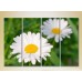 Pictură Rainbow Polyptych Chamomile 04 (2932354)