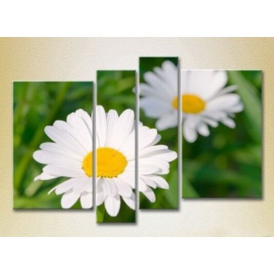 Pictură Rainbow Polyptych Chamomile 06 (2932355)