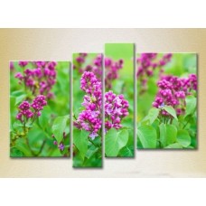 Pictură Rainbow Polyptych Lilac 02 (2932357)