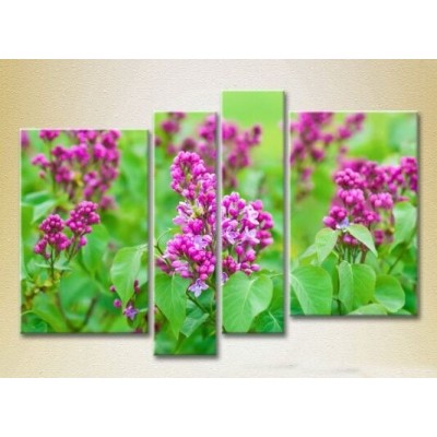 Картина Rainbow Polyptych Lilac 02 (2932357)