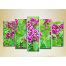 Картина Rainbow Polyptych Lilac 04 (2932881)