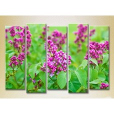 Картина Rainbow Polyptych Lilac 05 (2932882)