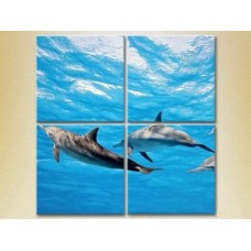 Pictură Rainbow Polyptych Flock of Dolphins (2222236)