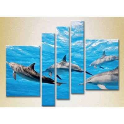 Картина Rainbow Polyptych Flock of Dolphins 04 (2224646)