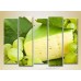 Картина Rainbow Polyptych Cheese and White Grapes 01 (2224610)