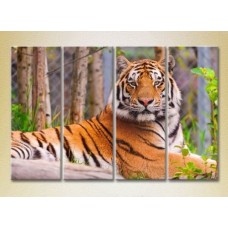 Pictură Rainbow Polyptych Tiger 01 (2222244)