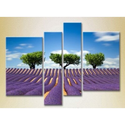 Pictură Rainbow Polyptych Three trees in a lavender field (2223684)