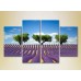 Pictură Rainbow Polyptych Three trees in a lavender field 01 (2223683)