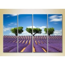 Pictură Rainbow Polyptych Three trees in a lavender field 02 (2223686)