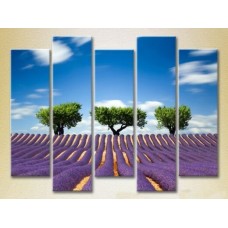 Картина Rainbow Polyptych Three trees in a lavender field 03 (2224816)