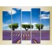 Картина Rainbow Polyptych Three trees in a lavender field 03 (2224816)