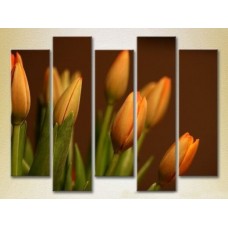 Картина Gallerix Polyptych Tulips 01 (2932884)