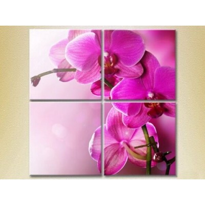 Pictură Gallerix Polyptych Purple Orchids (2932361)