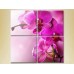 Pictură Gallerix Polyptych Purple Orchids (2932361)