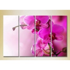 Pictură Gallerix Polyptych Purple Orchids 01 (2932363)