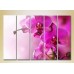 Картина Gallerix Polyptych Purple Orchids 02 (2932889)