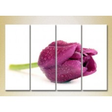 Pictură Gallerix Polyptych Purple Tulip (2932378)