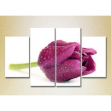 Pictură Gallerix Polyptych Purple Tulip 01 (2932377)