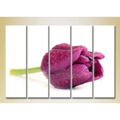 Картина Gallerix Polyptych Purple Tulip 04 (2932891)