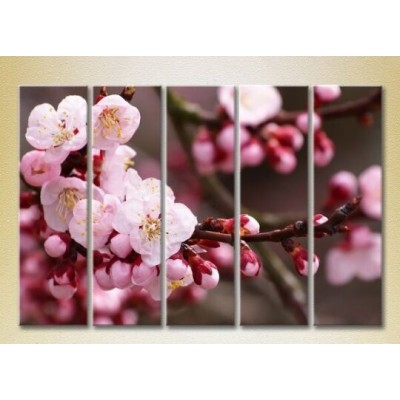 Картина Gallerix Polyptych Blossoming Branch 03 (2932896)