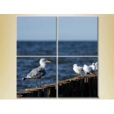 Pictură Gallerix Polyptych Seagulls in Crimea 01 (2223436)