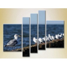 Картина Gallerix Polyptych Seagulls in Crimea 02 (2224799)