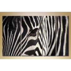 Картина Gallerix Polyptych Zebra (1523188)