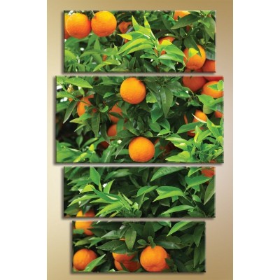 Pictură Gallerix Polyptych orange tree (1547185)